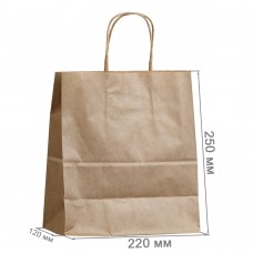 Бумажный пакет с кручеными ручками 220x120x250 крафт